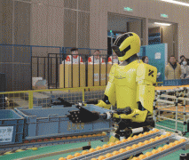 为大脑的决策奠基了基